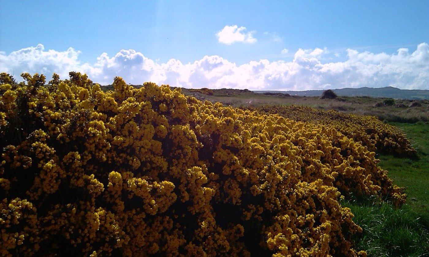 Portmarnock Links, Portmarnock, Éire / Ireland